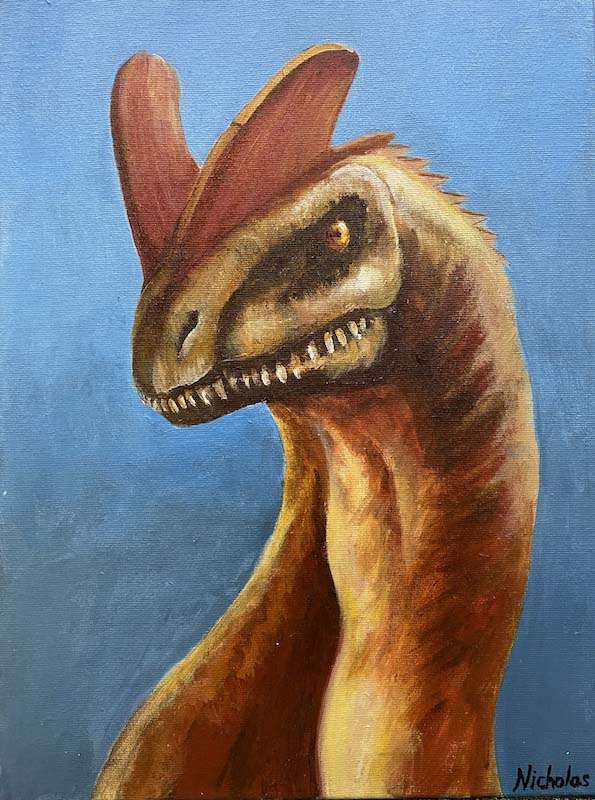 Dino - 30 x 40 - Ast